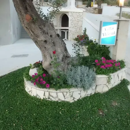 Mikrut Podstrana